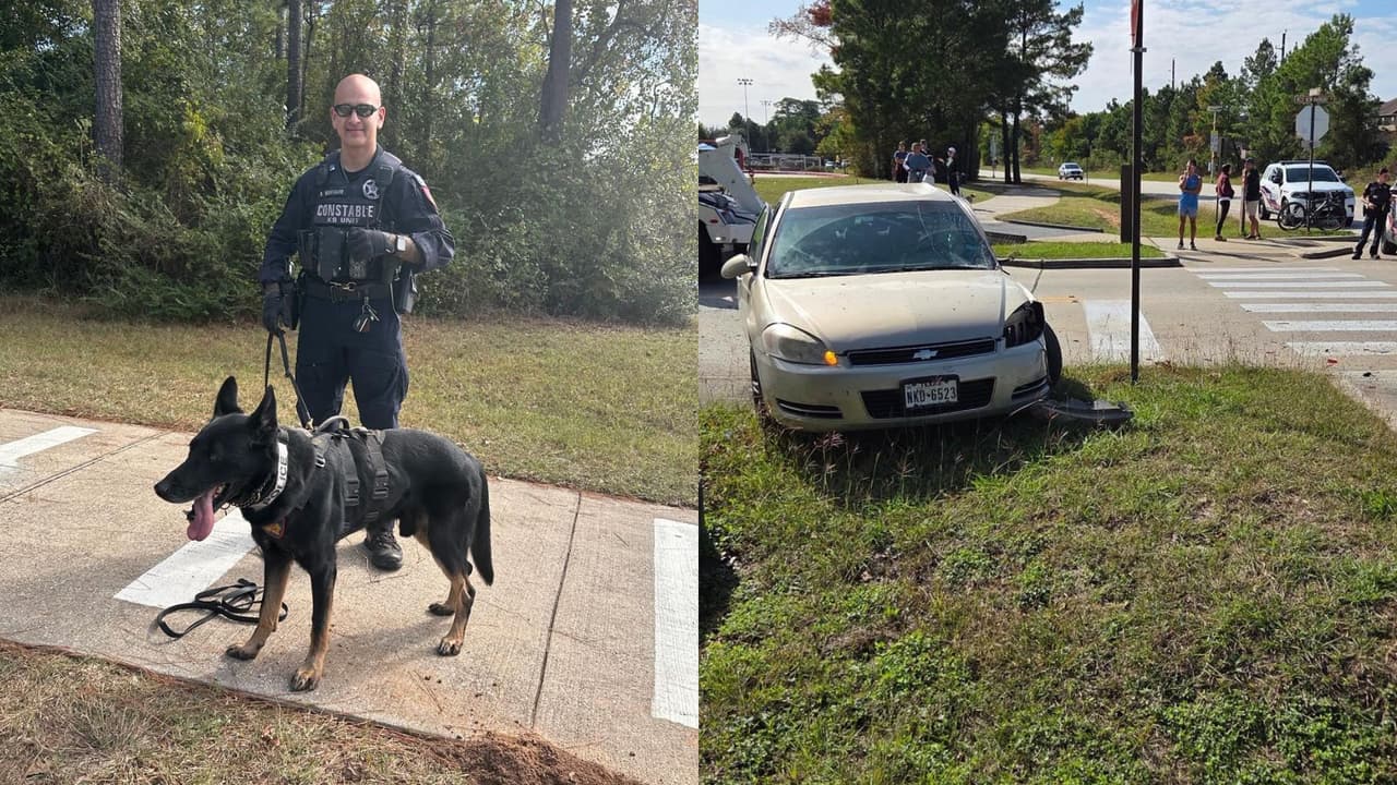 K9 Rambo captura a dos menores acusados de iniciar una persecución tras ocasionar choque en Texas