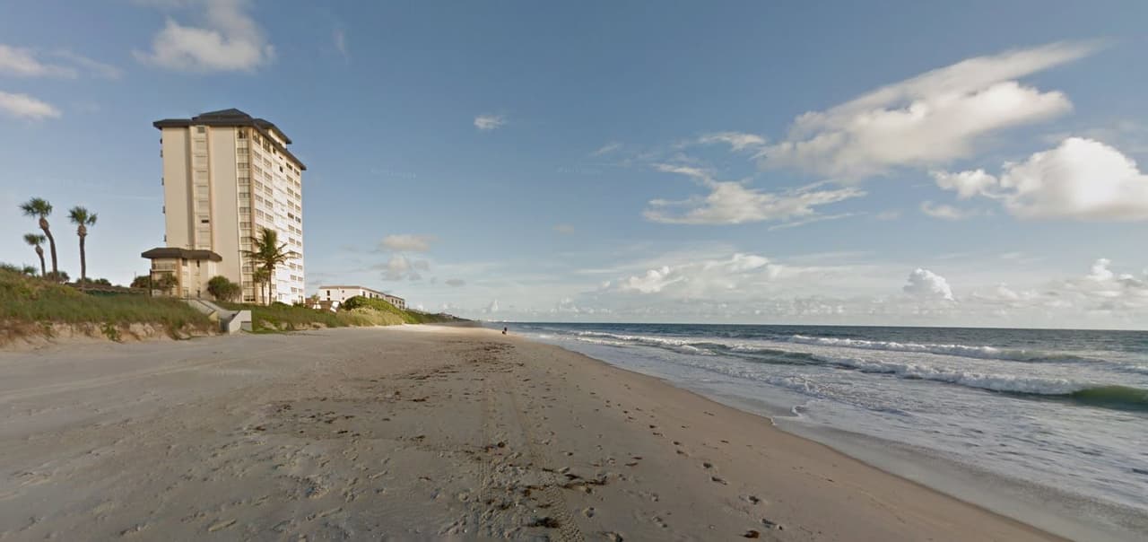 Florida: Tiburón le muerde el trasero a mujer de New Jersey