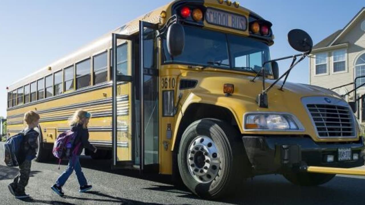 Trabajo en Elk Grove: el Distrito Escolar busca choferes para autobús