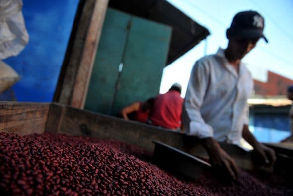 5. NICARAGUA, con el 52 por ciento.