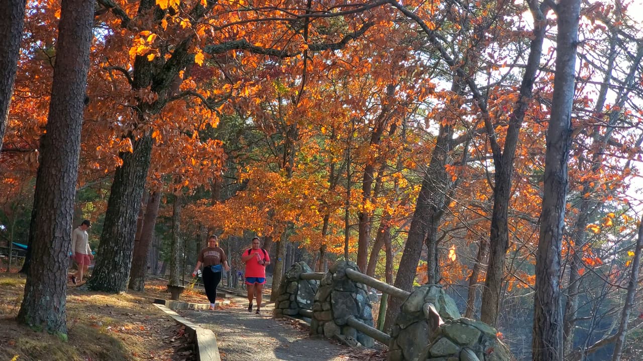 Cloudland también ofrece más de 60 millas de senderos para transitar a pie y 30 más para recorrer en bicicleta.
