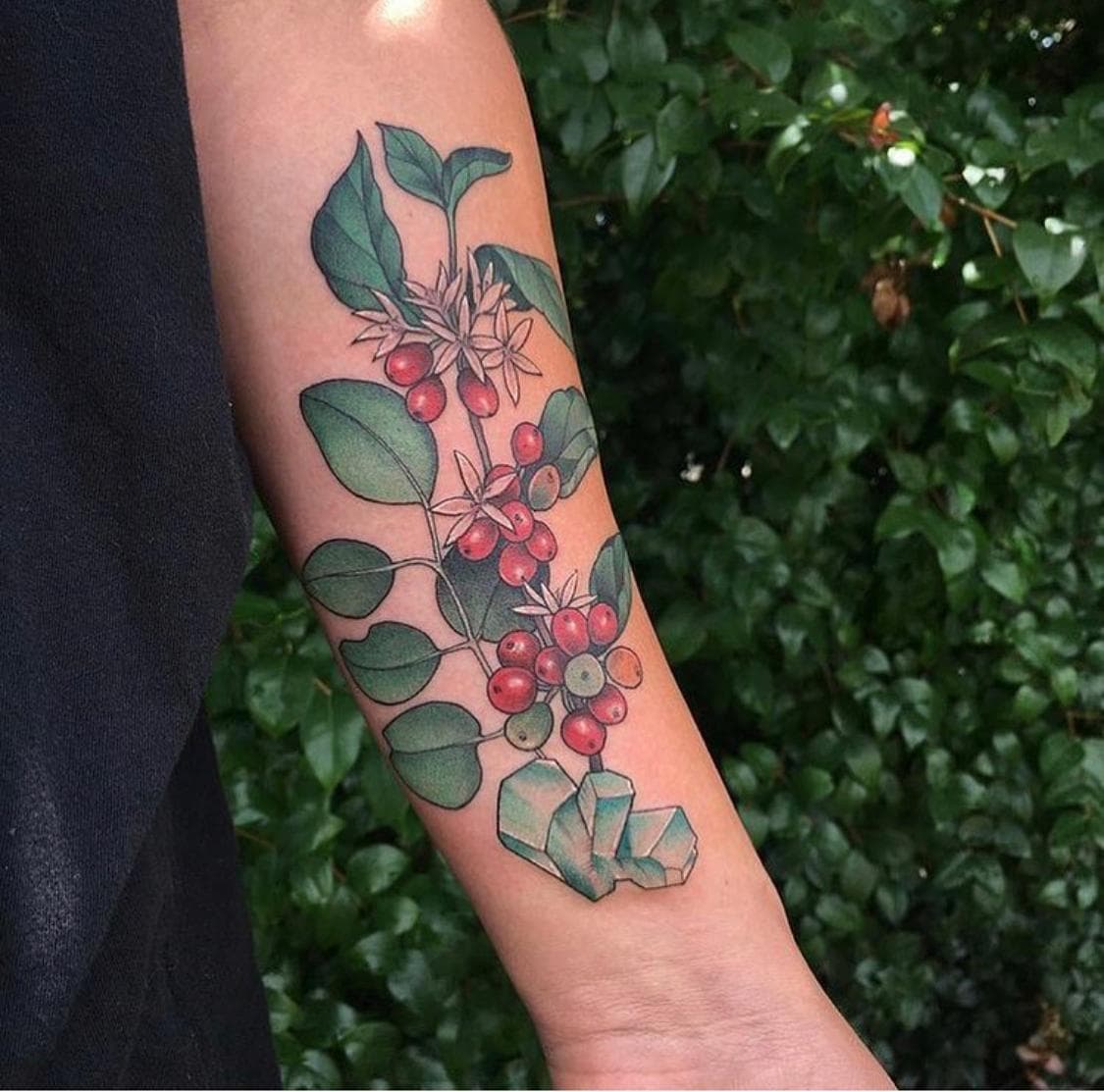 Julia Zuniga has a coffee branch tattoo on her arm. She calls it an ode to her father's homeland.