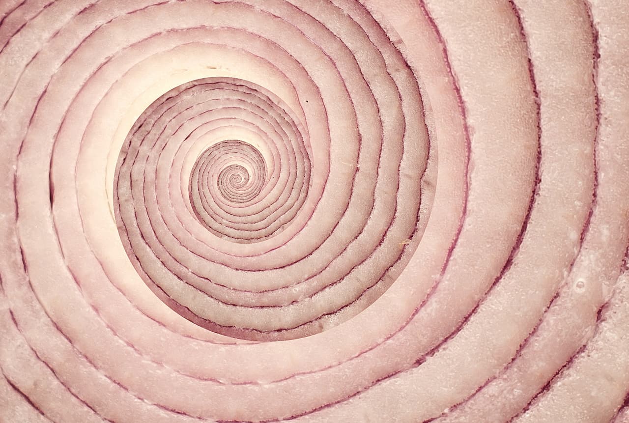 ¿El camino a la dimensión desconocida? Este espiral puede inspirar todo tipo de ideas pero es sencillamente el corte al medio de una cebolla.