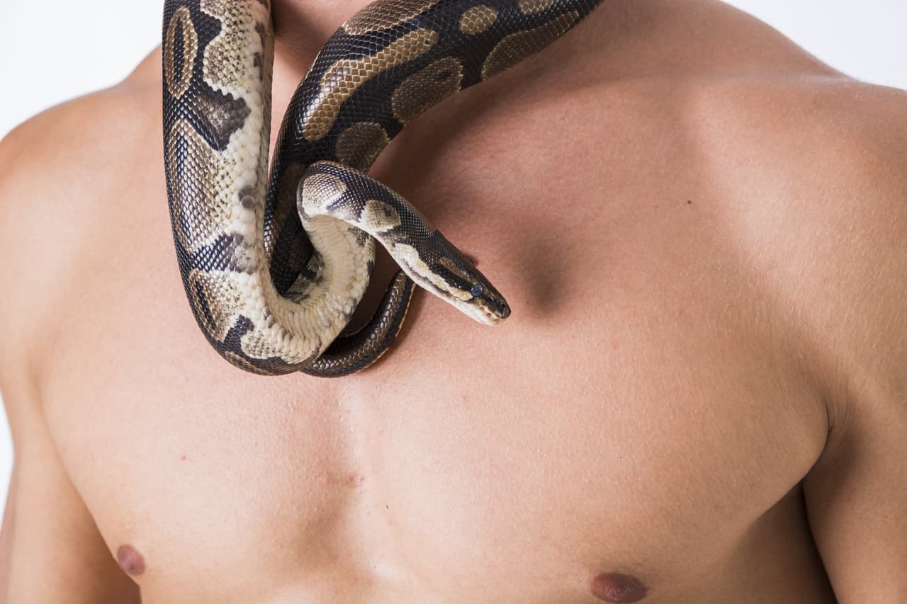 13. The Zuu. Para ponerse en forma, en 45 minutos se practican movimientos de diferentes animales para aumentar la flexibilidad, el fortalecimiento de los músculos y las articulaciones, acrecentar la agilidad y de esta manera perder grasa en todas las partes del cuerpo.