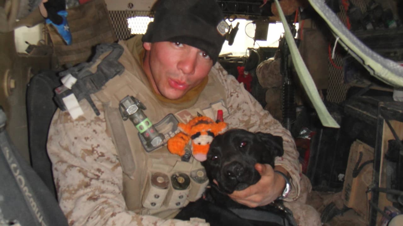 Se desestima el caso de agresión sexual contra el exbartender de Viva Tacoland