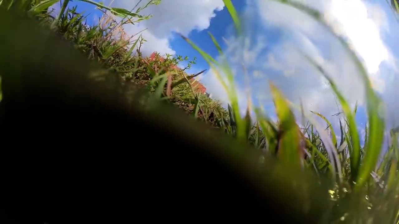 Usuarios y motociclistas experimentados le pidieron cautela al manejar. “Si yo fuera tú, dedicaría el resto de mi tiempo a mostrarles a los motociclistas por qué no deberían andar así. Es divertido pero no vale la pena. Me alegra saber que saliste con vida. No lo des por sentado”, dice uno de los usuarios en su video.