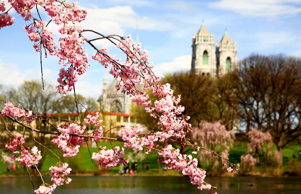 New Jersey, 'the garden state', ocupa el puesto número 15.