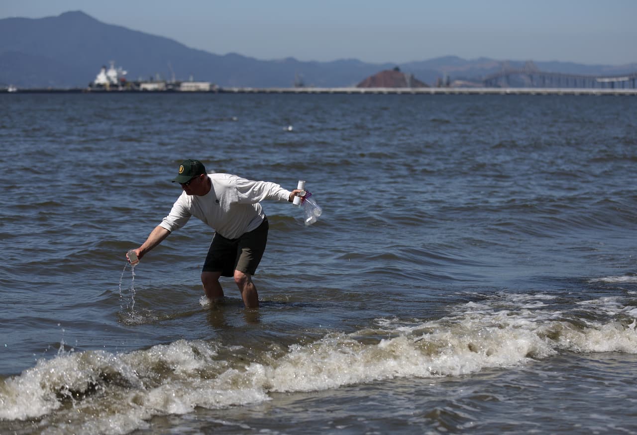 Para mantener un registro de los animales marinos muertos y dónde se está produciendo el problema, los especialistas piden a la gente levantar un reporte en 
<a href="https://baykeeper.org/content/report-pollution">San Francisco Baykeeper</a> y en 
<a href="https://www.sfei.org/content/harmful-algal-bloom-fish-mortality">San Francisco Estuary Institute and the Aquatic Science Center</a>.
<br>