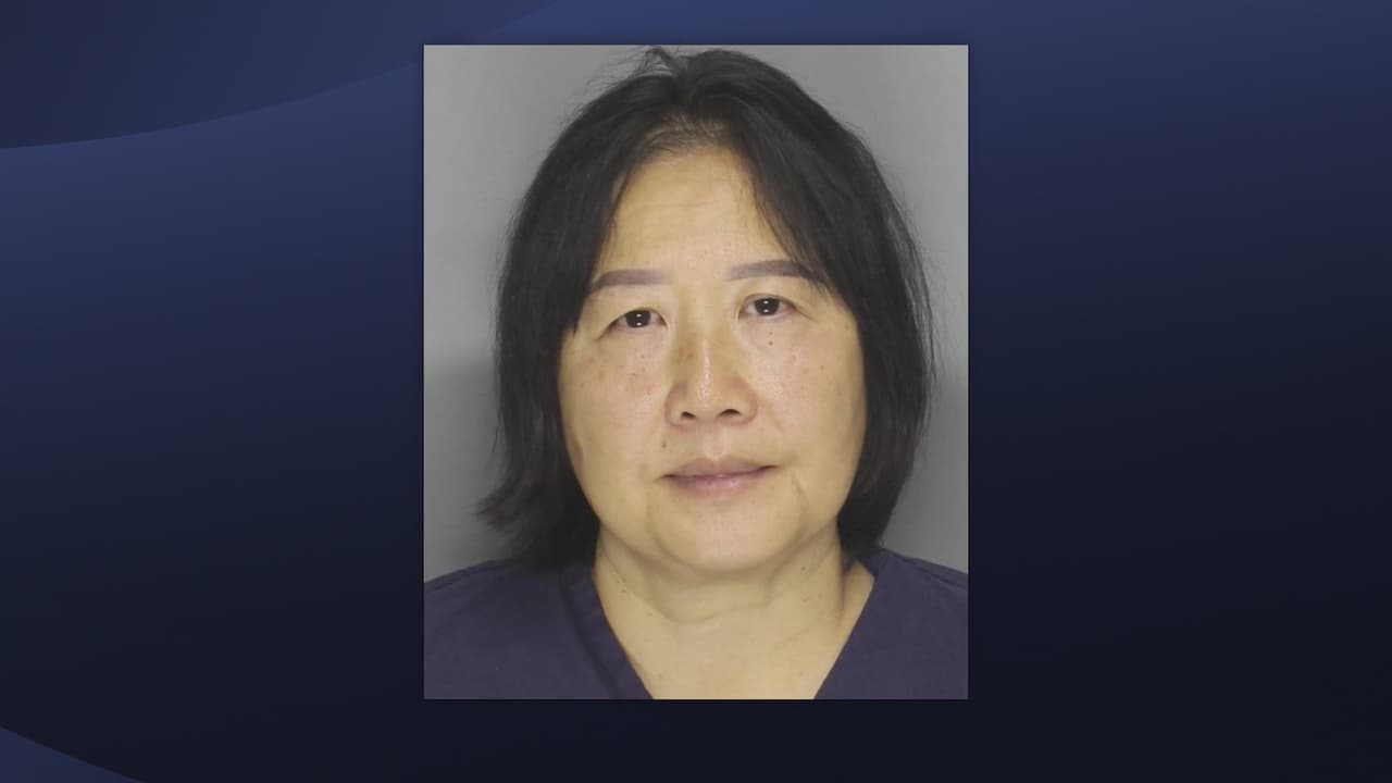 Arrestan a mujer por dejar a su perro dentro de un auto caliente