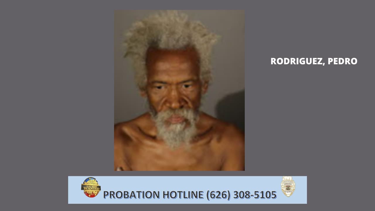 <b>Pedro Rodríguez</b> tiene un extenso historial criminal. Ha sido condenado por exposición indecente, robo de correo, robo de identidad, hurto mayor, identificación falsa, falta de registro como delincuente sexual, hurto menor, allanamiento de morada, alteración del orden público e intento de robo. Ha cumplido múltiples condenas en prisión estatal, siendo la más larga una de 4 años por exposición indecente. Rodríguez fue liberado de la prisión estatal a la supervisión del Departamento de Libertad Condicional del Condado de Ángeles el 22 de septiembre de 2019.
<br>
<br>
<b>Marcas/características distintivas</b>: Cicatriz en la pierna izquierda, cicatriz bajo el brazo derecho, tatuaje en los brazos. 
<br>Fue visto por última vez en el área de Los Ángeles.
