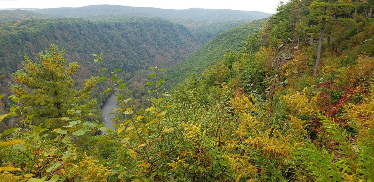 Así son los mejores senderos para visitar durante el otoño en Pensilvania 