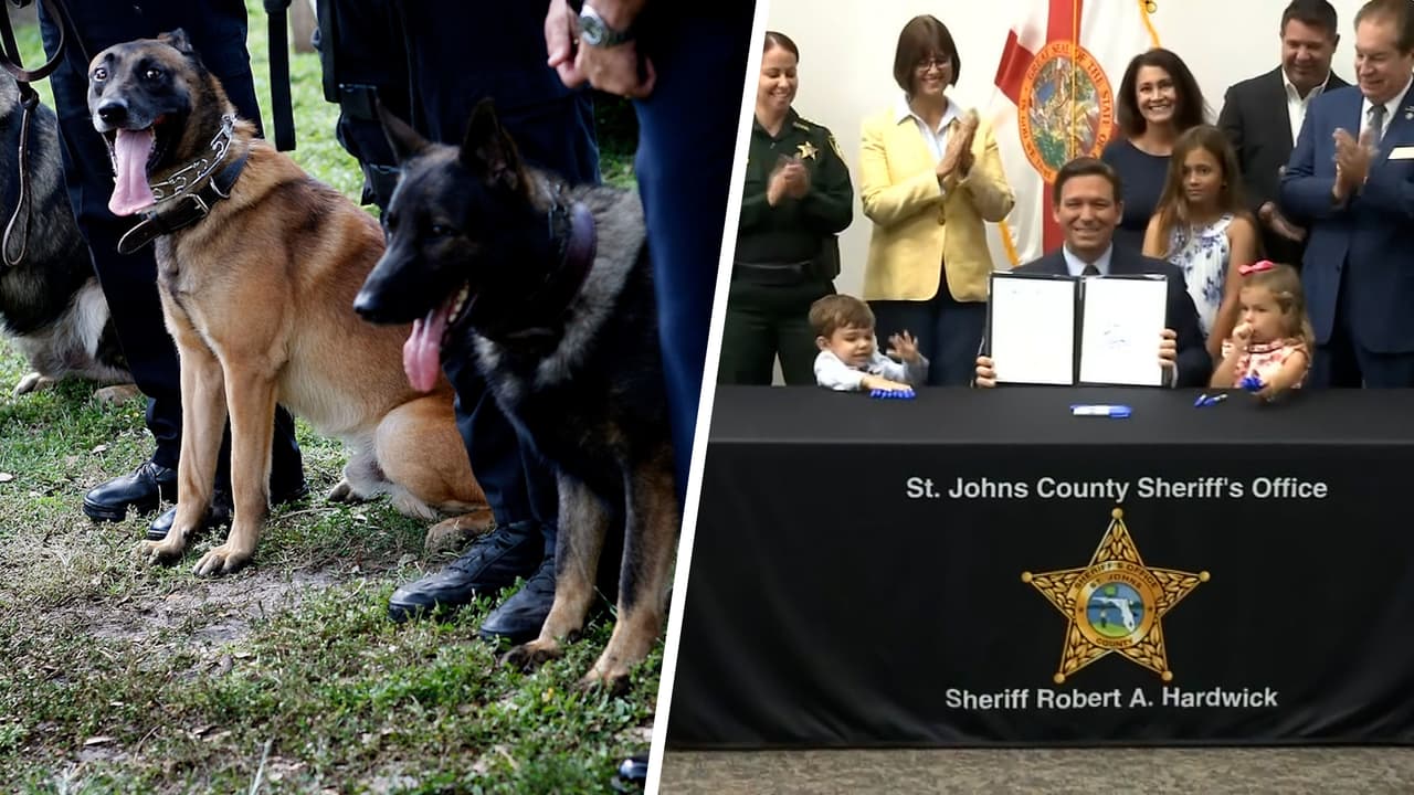 DeSantis firma ley para que perros policía o K-9 puedan ser atendidos por rescatistas 
