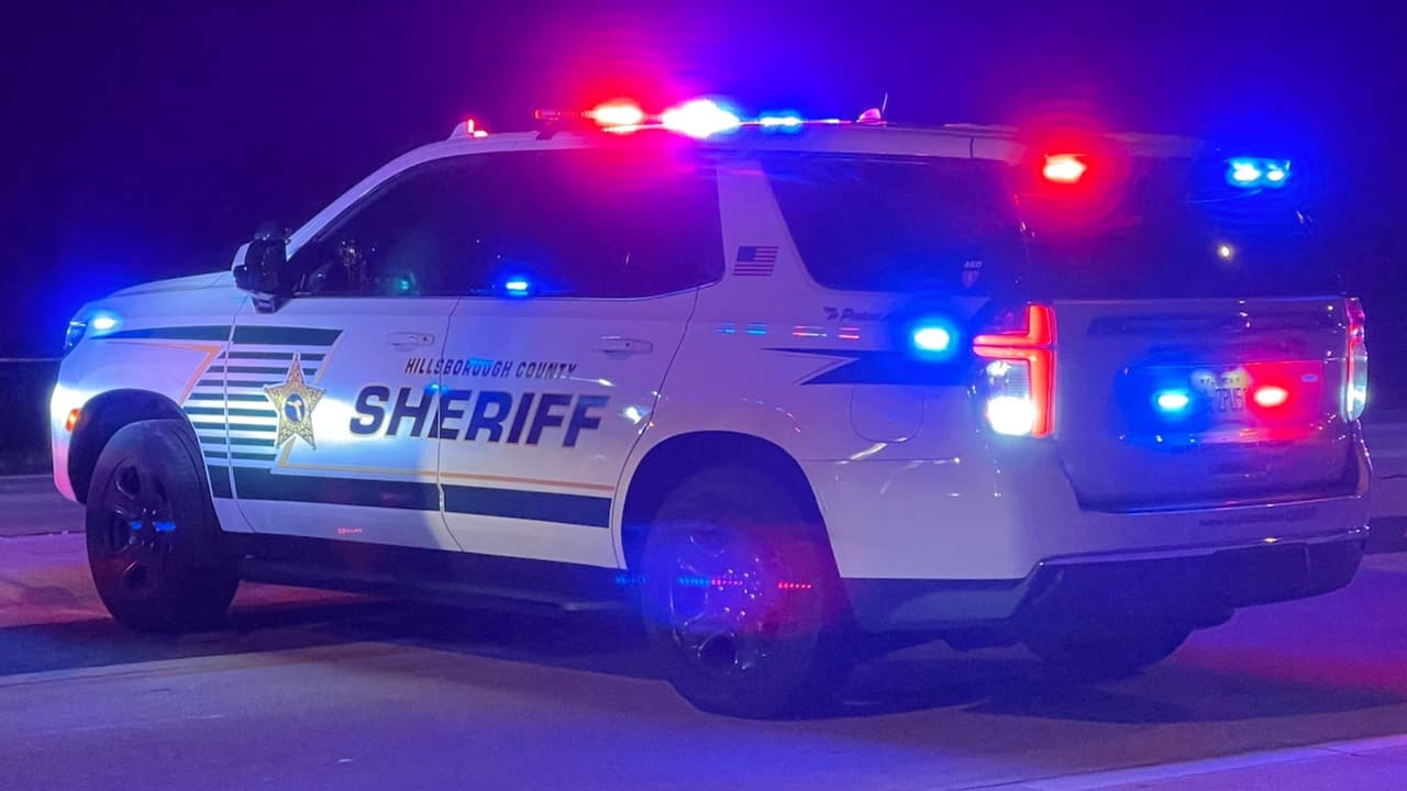 Hombre drogado que corría en medio de una autopista mordió varias veces a agente del condado Hillsborough