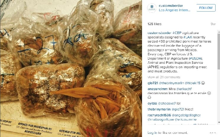 Aunque te gusten los tamales de tu mama o abuelita en México, ten cuidado. En el aeropuerto de Los Ángeles, fueron incautados de la maleta de un pasajero 450 tamales de carne de puerco.