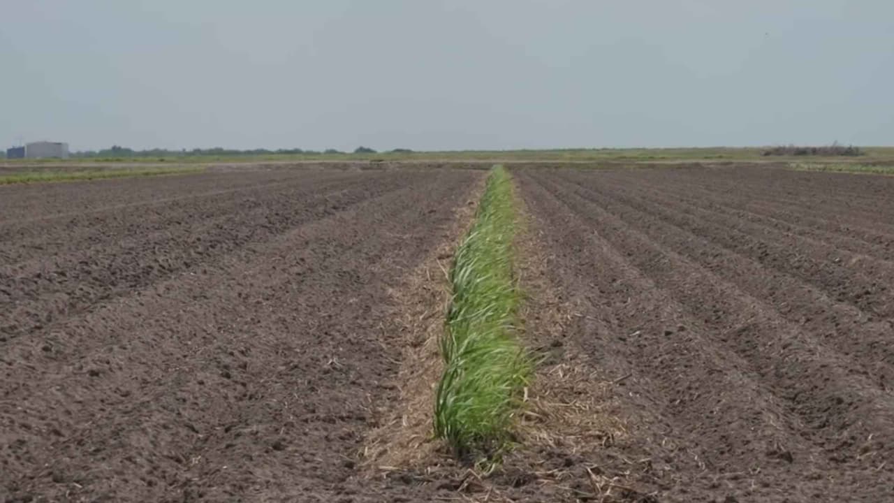 Alertan por el fenómeno “Súper Niño” histórico que impactará a EEUU