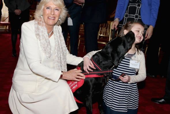 También pueden detectar bajos niveles de sangre en una persona diabética y alertar a las personas alrededor o incluso al enfermo.