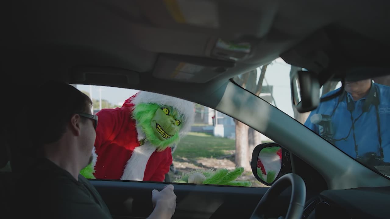 ¿Multa o cebolla?: Las opciones que les da el “Grinch” a los choferes que exceden el límite de velocidad en los Cayos de Florida