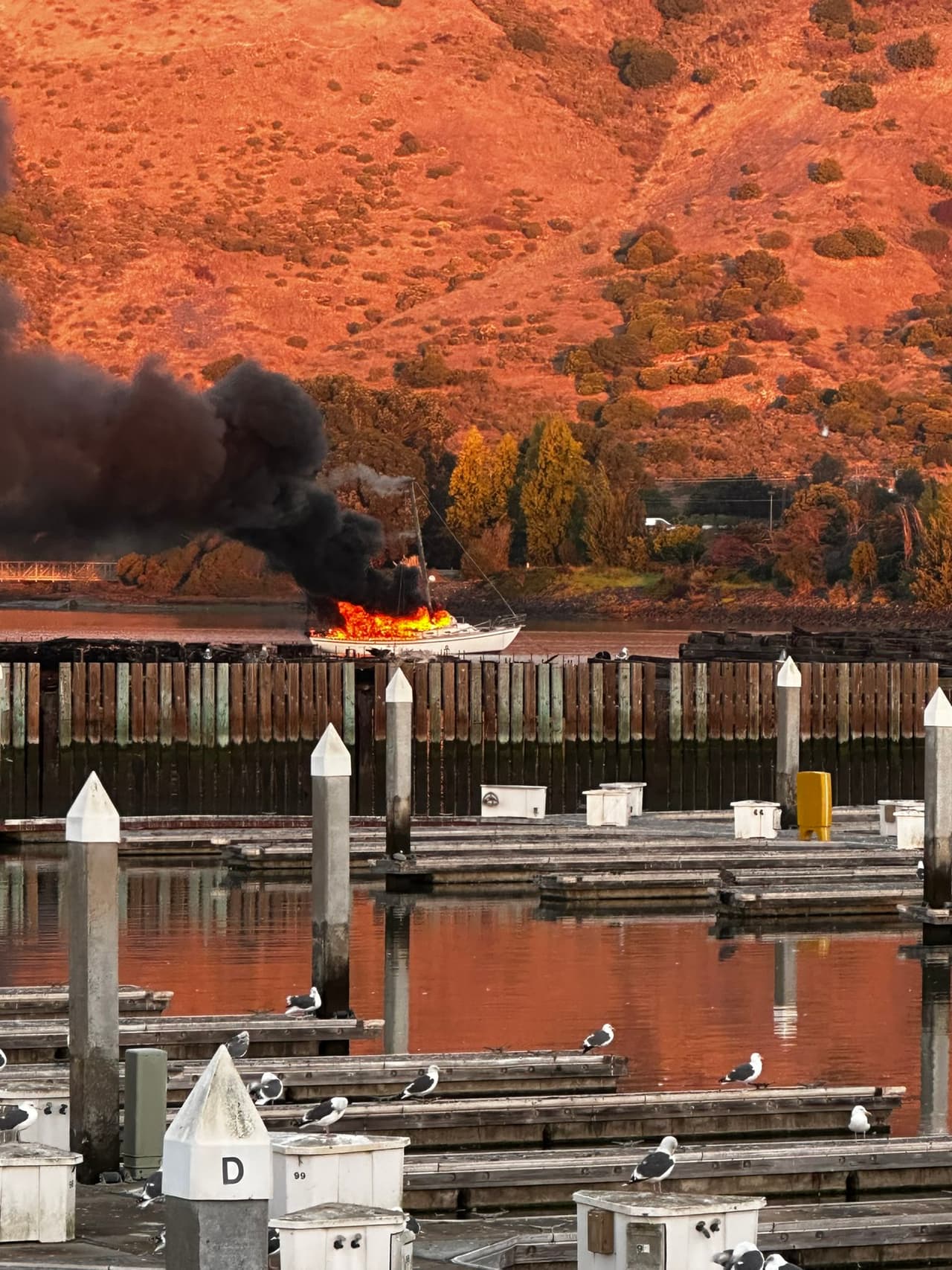 Según el Departamento de Bomberos de la ciudad, varias agencias de bomberos están trabajando en la escena para controlar la situación.