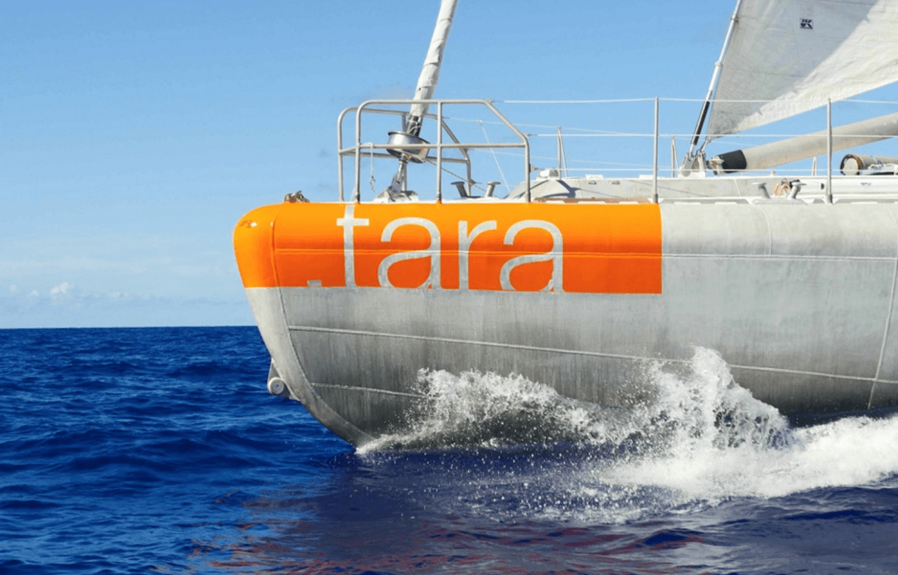 La goleta científica Tara inicia expedición para indagar los misterios de los arrecifes del Pacífico