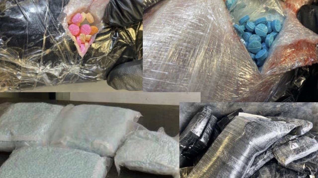 Las pastillas vienen en diferentes colores, como dice la DEA no tienen control de calidad. Algunas son más oscuras otras más claras, todas son igual de peligrosas y mortales.