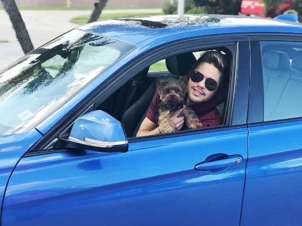 ¿Quién se anima a salir a pasear con este par de galanes? (Noviembre 4, 2016)