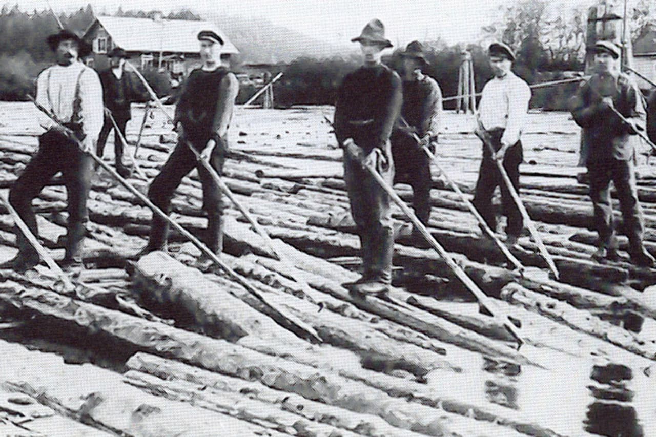 <b>Controladores de troncos (también conocido como ‘river pig’ (‘cerdo de río’, en español)</b>
<br>
<br>Los bosques donde los leñadores cortaban árboles para obtener madera a menudo estaban lejos de los principales asentamientos, y la forma más fácil de transportar los troncos era hacerlos flotar río abajo. Los controladores de troncos se aseguraban de que la madera fluyera sin problemas, un trabajo peligroso especialmente cuando recorrían aguas traicioneras. 
<br>
<br>La popularización de los camiones a mediados del siglo XX acabó con este oficio, que se convirtió con el tiempo en una aventura innecesaria y arriesgada.
<br>