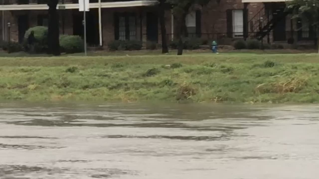 Las autoridades han pedido a los residentes no conducir por áreas donde haya agua acumulada.