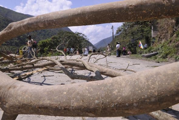 También exigen la entrega de 2 mil nuevos permisos para la producción del insumo.