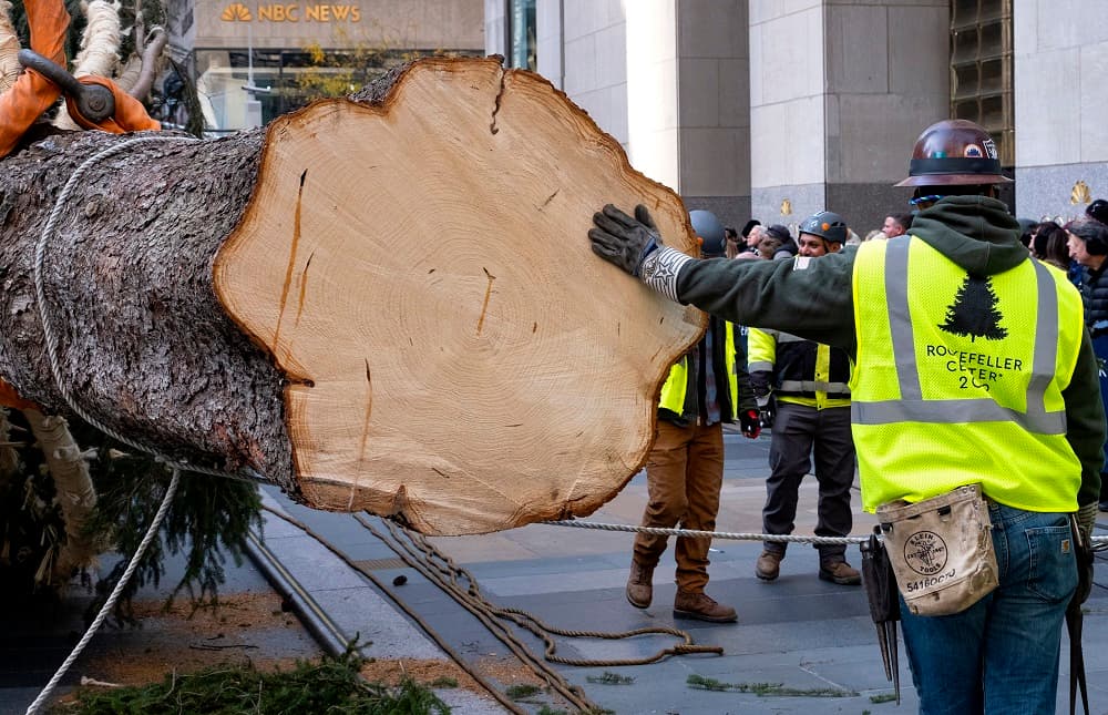 En la imagen, un operario junto al tronco del árbol durante las operaciones para levantarlo en el centro de la ciudad de Nueva York.