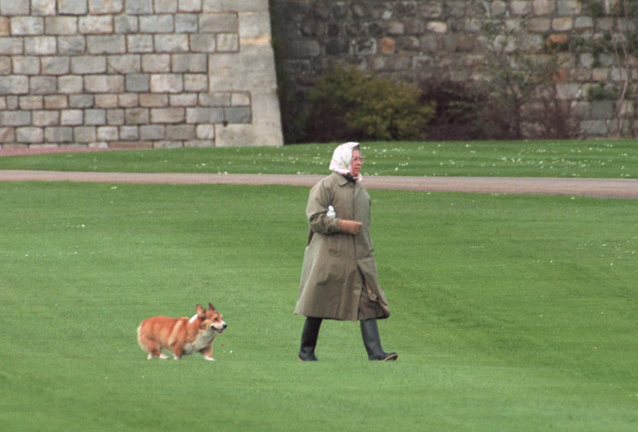 Los sujetos estuvieron muy cerca de donde la reina, de 95 años, 
<b><a href="https://www.univision.com/entretenimiento/realeza/muere-uno-de-los-corgis-de-la-reina-isabel-ii" target="_blank">suele salir a caminar con sus perros corgis </a></b>y en donde monta a caballo.