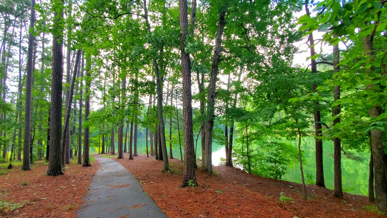 Otros senderos son pavimentados y te llevarán por otros puntos de interés del lago.