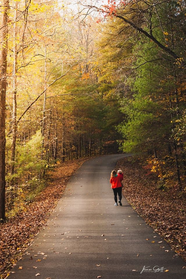 <b>Smithgall Woods State Park</b>. Protegiendo más de 6,000 acres alrededor de Dukes Creek, este es el lugar perfecto para la pesca con mosca mientras se disfruta del color del otoño.