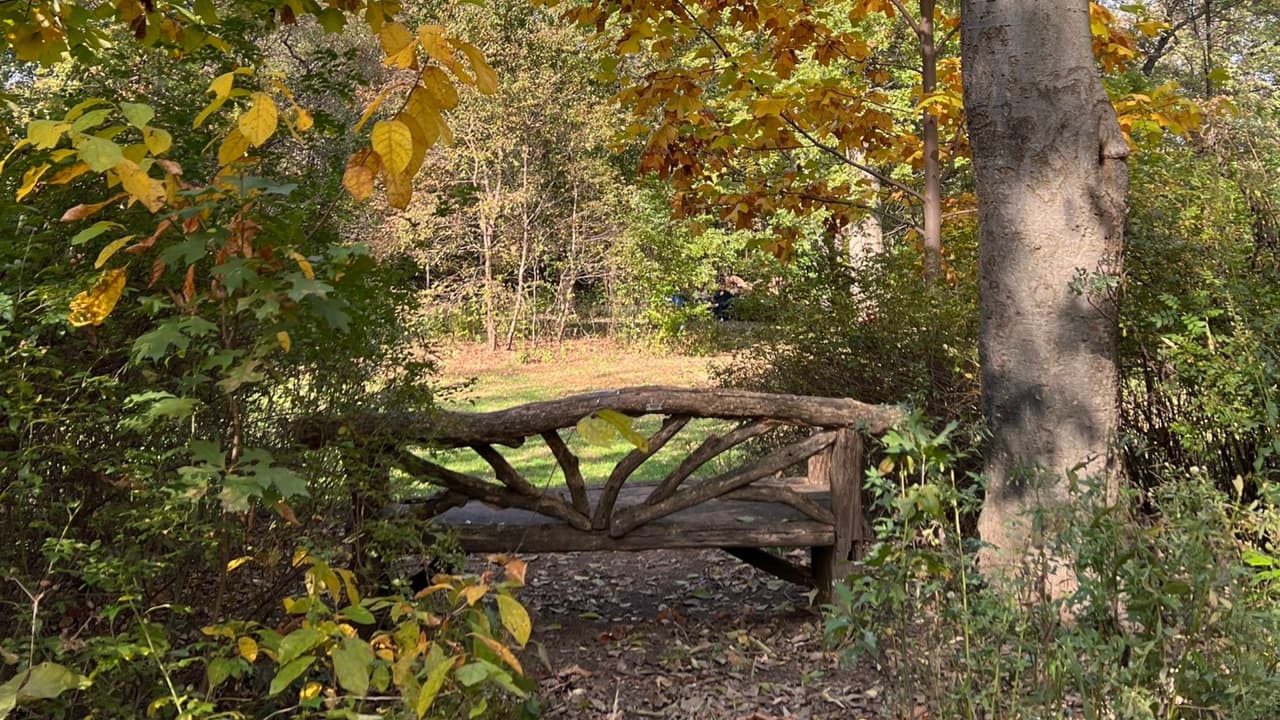 El Central Park de Manhattan, uno de los más famosos del mundo, 
<b>también se viste con los tradicionales colores de otoño</b>. Además, cuenta con instalaciones recreativas: lugares para patinar, pedalear, remar, driblar y escalar.