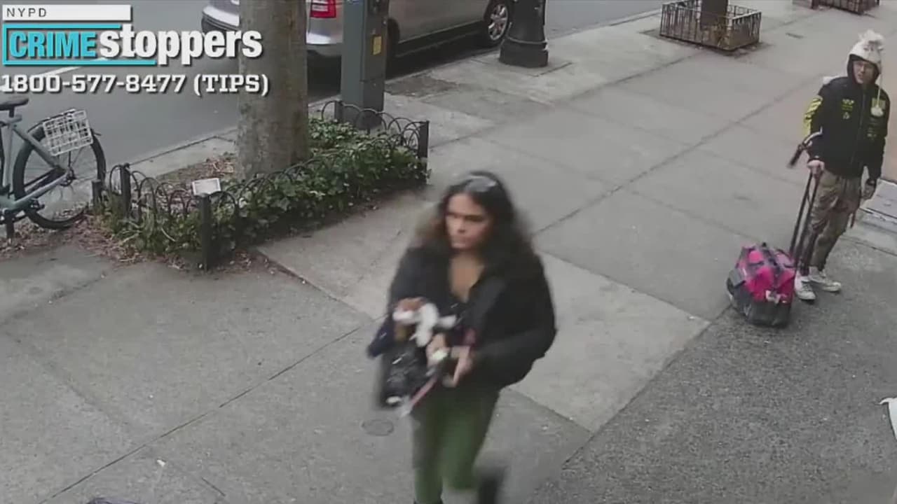 Rompen la puerta con un martillo y entran a robar en una bodega de Brooklyn