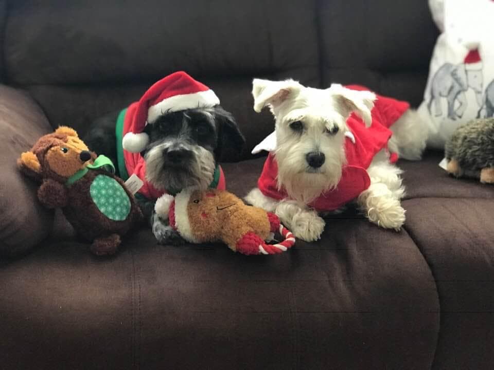 Bruno y Zakyra les desean un feliz Día de la Madre del #hijoperruno