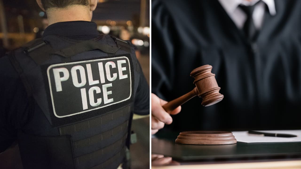 Lo que toda persona inmigrante debe saber sobre sus derechos en Estados Unidos: Un experto responde