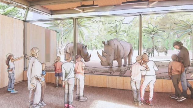 Zoológico de Houston renovará hábitat para animales de África