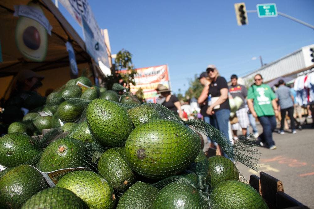 <b>Este próximo 19 de abril se lleva a cabo la version número 34 del <a href="http://fallbrookchamberofcommerce.org/events-v2/34th-Annual-Avocado-Festival_ET679.html" target="_blank">Festival del Aguacate de Fallbrook.</a></b>
<a href="http://fallbrookchamberofcommerce.org/events-v2/34th-Annual-Avocado-Festival_ET679.html" target="_blank"> </a>una localidad ubicada al norte del condado de San Diego, reconocida por ser capital mundial de los aguacates.