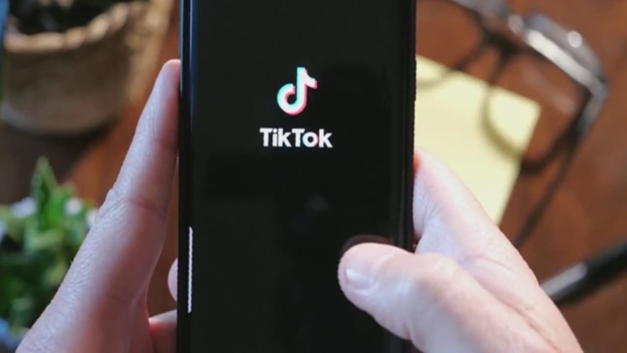 ¿TikTok permanecerá en EEUU?