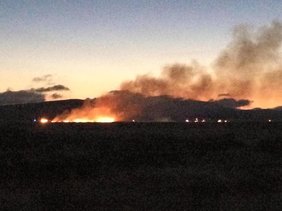 Muere una persona en desplome de avión en Livermore