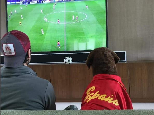 Enrique Iglesias mostró lo aficionado que es al futbol, y su perro también, que hasta usó una chamarra de España.