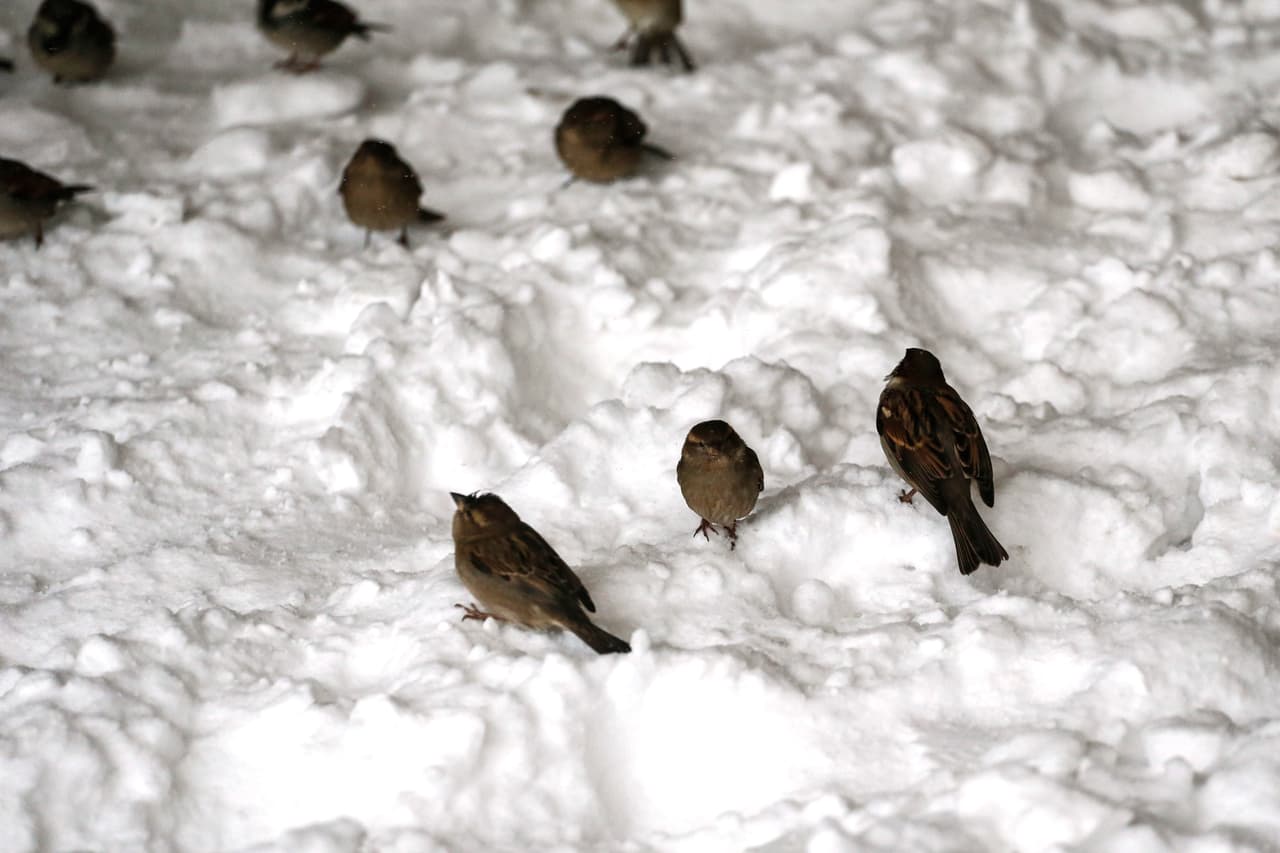 La costa del estado de New Jersey sufrió peligrosas inundaciones durante la tormenta.