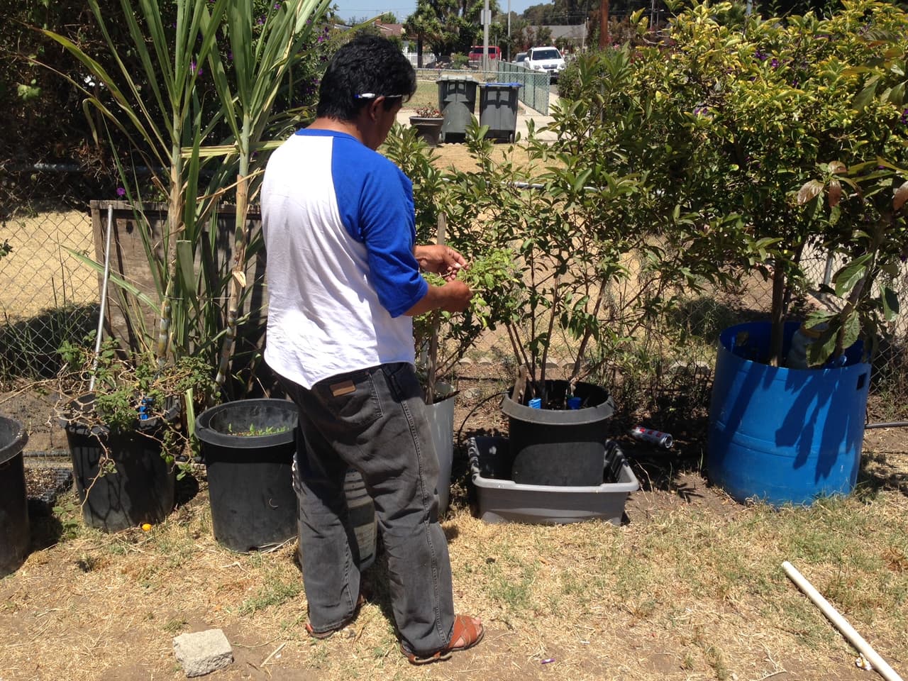 Francisco, en el patio de su casa en Oxnard.
<br>