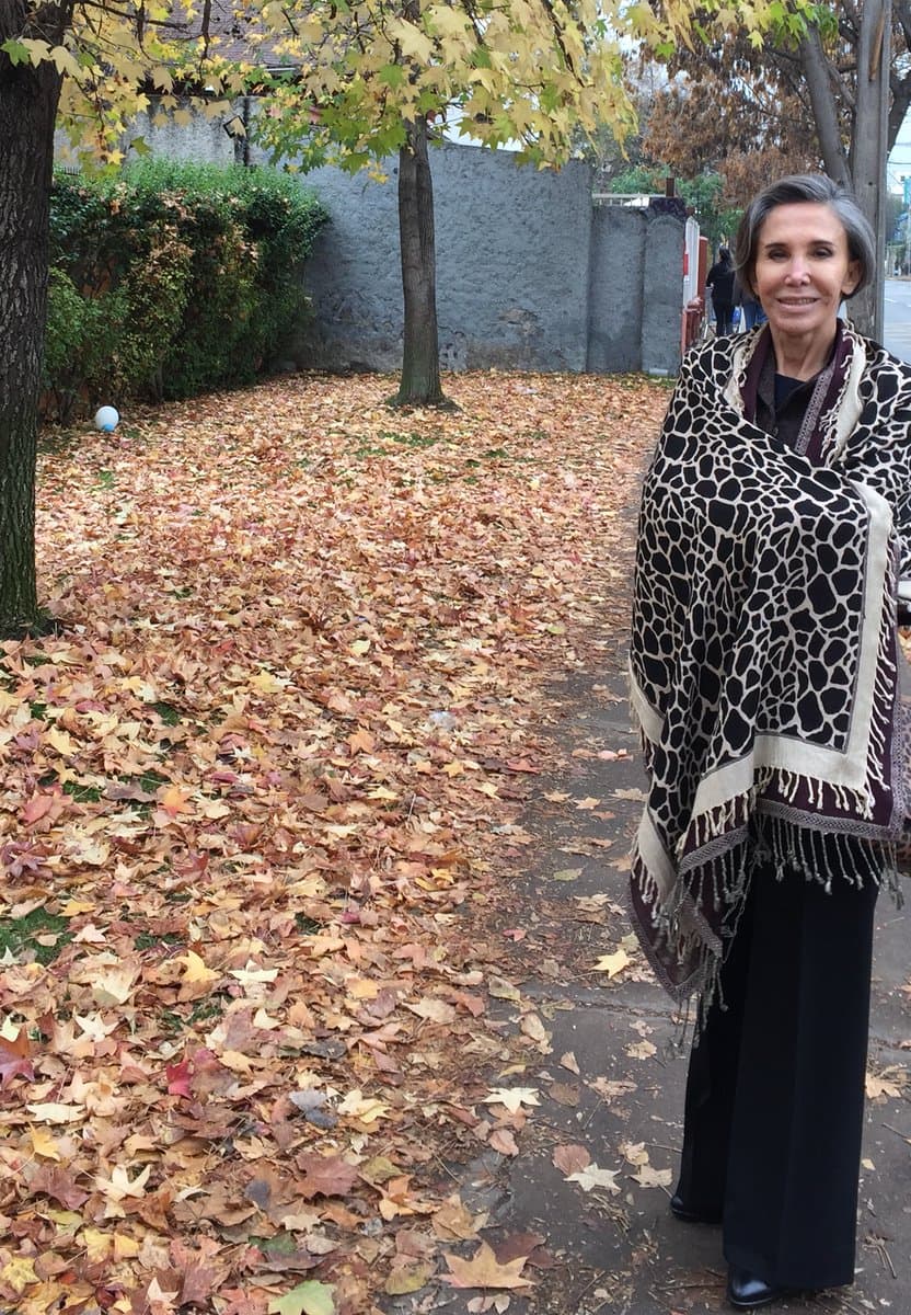 A casi cuatro años de la muerte del famoso comediante Roberto Gómez Bolaños 'Chespirito', conocido en toda Latinoamérica por sus entrañables personajes como el Chavo del Ocho, Chapulín Colorado y Chómpiras, Florinda Meza habló de la depresión que ha vivido desde entonces.