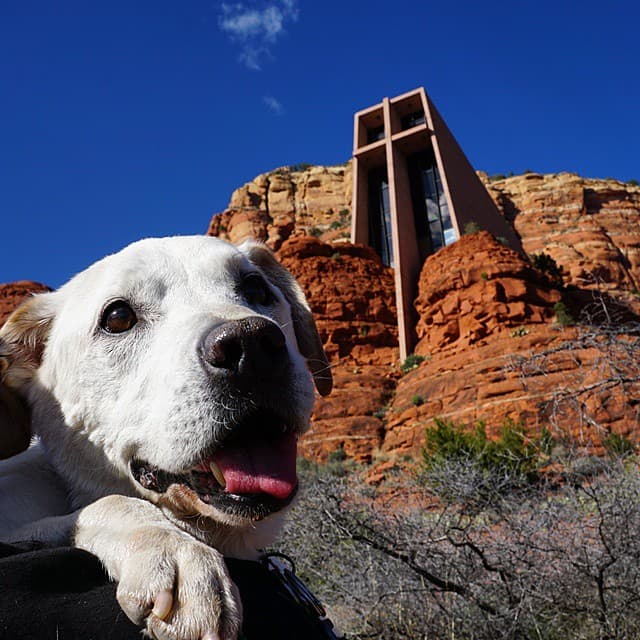 ¡Están disfrutando cada día, cada foto, como si fuera el último!