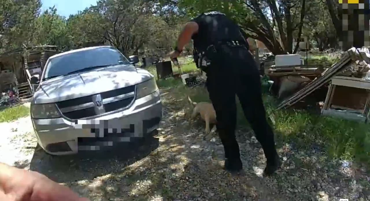 Como respuesta al incidente, autoridades le notificaron al dueño de la mascota quien luego lo llevó a un veterinario. Se desconoce si el perro sobrevivió o murió, según el reporte. El incidente será investigado por la División de Investigaciones Criminales y Asunto Internos de BCSO.