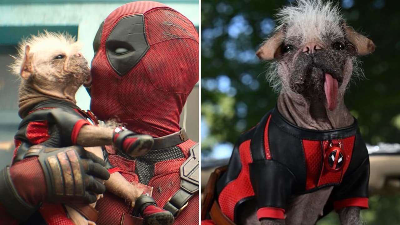 'Deadpool & Wolverine': ¿De dónde salió Dogpool y qué poderes tendrá en la película?