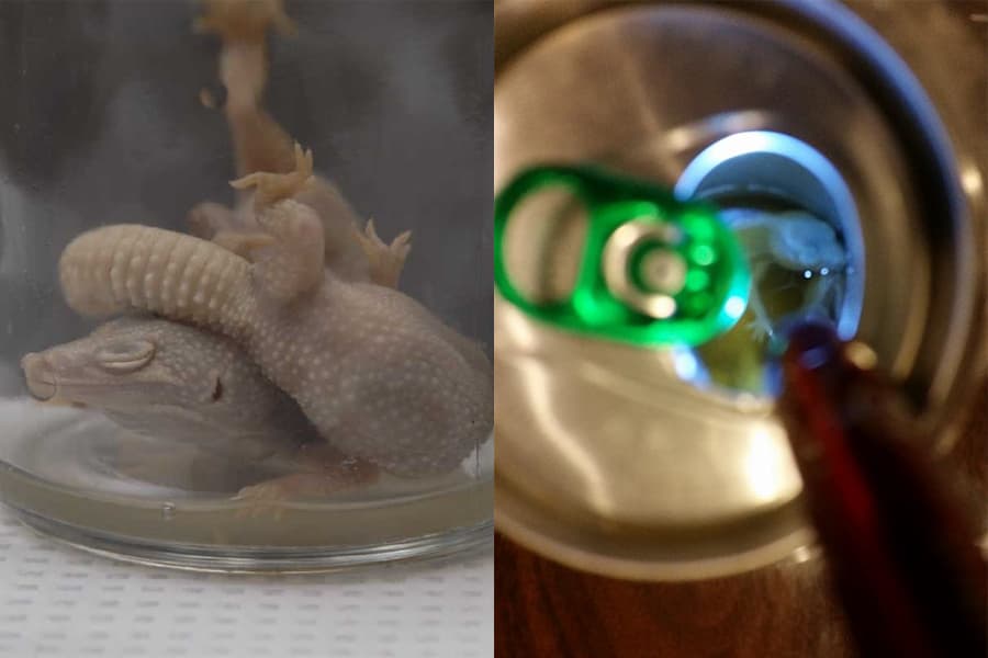 La queja legal acusa a Heineken y a la empresa Kroger, propietaria de los mercados Ralphs, de presunto incumplimiento de garantía implícita, negligencia y por causar angustia emocional.