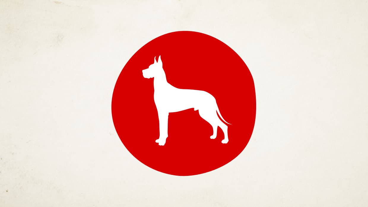 <b>El Perro en el Año del Gallo de Fuego (Los nacidos en 1934, 1946, 1958, 1970, 1982, 1994, 2006)</b>
<br>
<b>Un año mixto para el Perro, la balanza puede desajustarse</b>
<br>Este año chino, recibes buenas noticias procedentes de una gestión económica atrasada que lleva mucho tiempo sin resolverse. Podrás contar con lo suficiente para solucionar tus problemas.
<b> </b>Prepárate para lo inesperado porque este es un tiempo de movimientos, y de visitas cuando menos lo esperas y pueden ocurrir complicaciones en tu vida que te alejen de tu casa. No te dejes impresionar por apariencias y a la hora de la verdad mira más el corazón. Recuerda conferir siempre a la otra persona el beneficio de la duda.
<br>