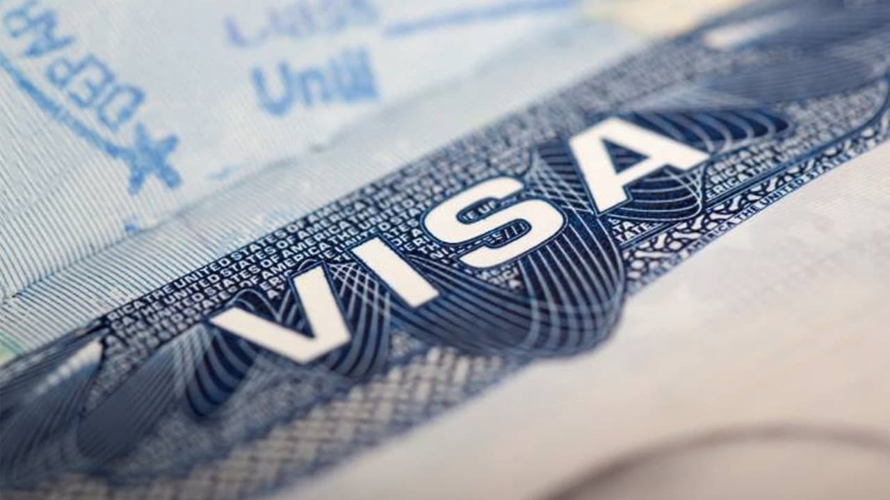 <b>¿Indocumentados pueden aplicar?</b>
<br>El estado migratorio de los residentes del condado Cook
<a href="https://www.univision.com/local/chicago-wgbo/500-mes-condado-cook-indocumentados-pueden-aplicar" target="_blank">no es considerado para aplicar en el Programa</a> Piloto de Ingresos Garantizados, de acuerdo con las bases.
<br>
<br>Si bien existe una serie de requisitos para quienes estén interesados, entre ellas no se enlista alguna sobre el estatus migratorio.